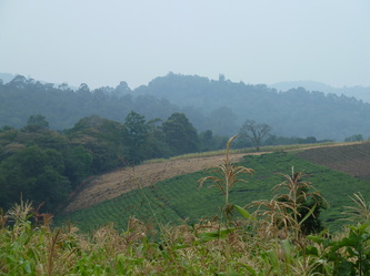 HillSideUganda