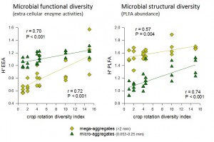 Crop rotation diversity index versus (a) microbial enzyme activity diversity and (b) PLFA diversity in relation in mega- or micro-aggregates. The calculated Shannon-Weiner diversity (H) is relevant for between rotation comparisons at this site, but is not a ‚Äòtrue‚Äô measure of diversity because maximum richness was determined a priori. 